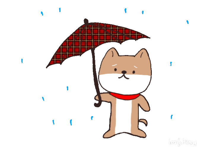 イラスト（雨の日の犬）