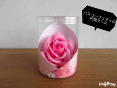 バスコンフェティのPET円筒ケース③