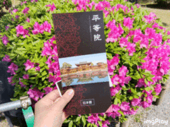 宇治・平等院鳳凰堂②