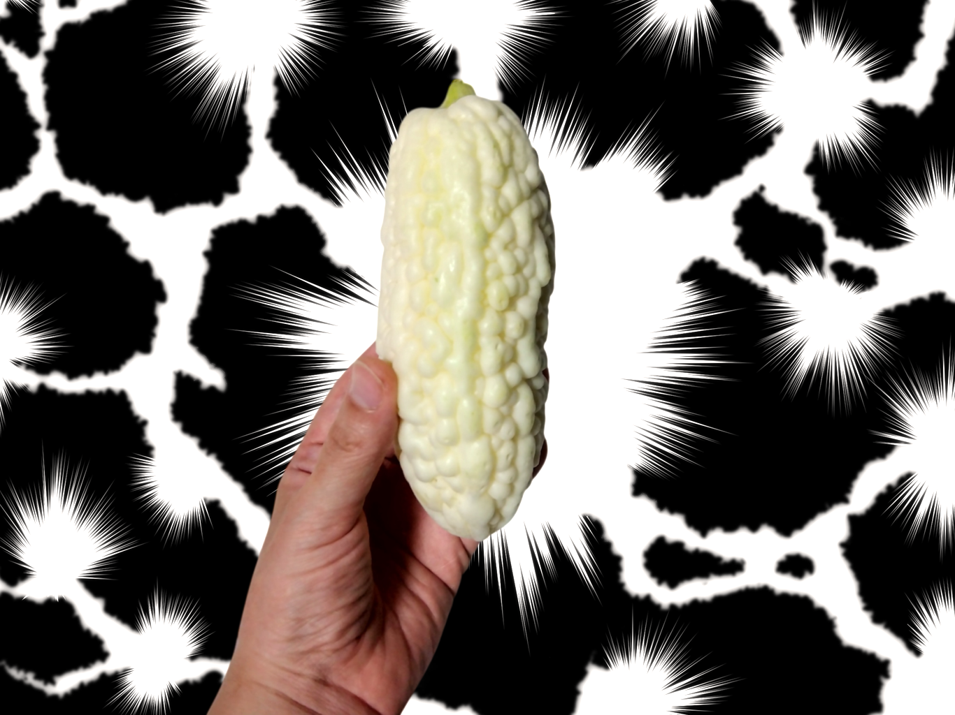 白ゴーヤ
