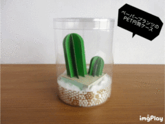 ペーパープランツのPET円筒ケース③