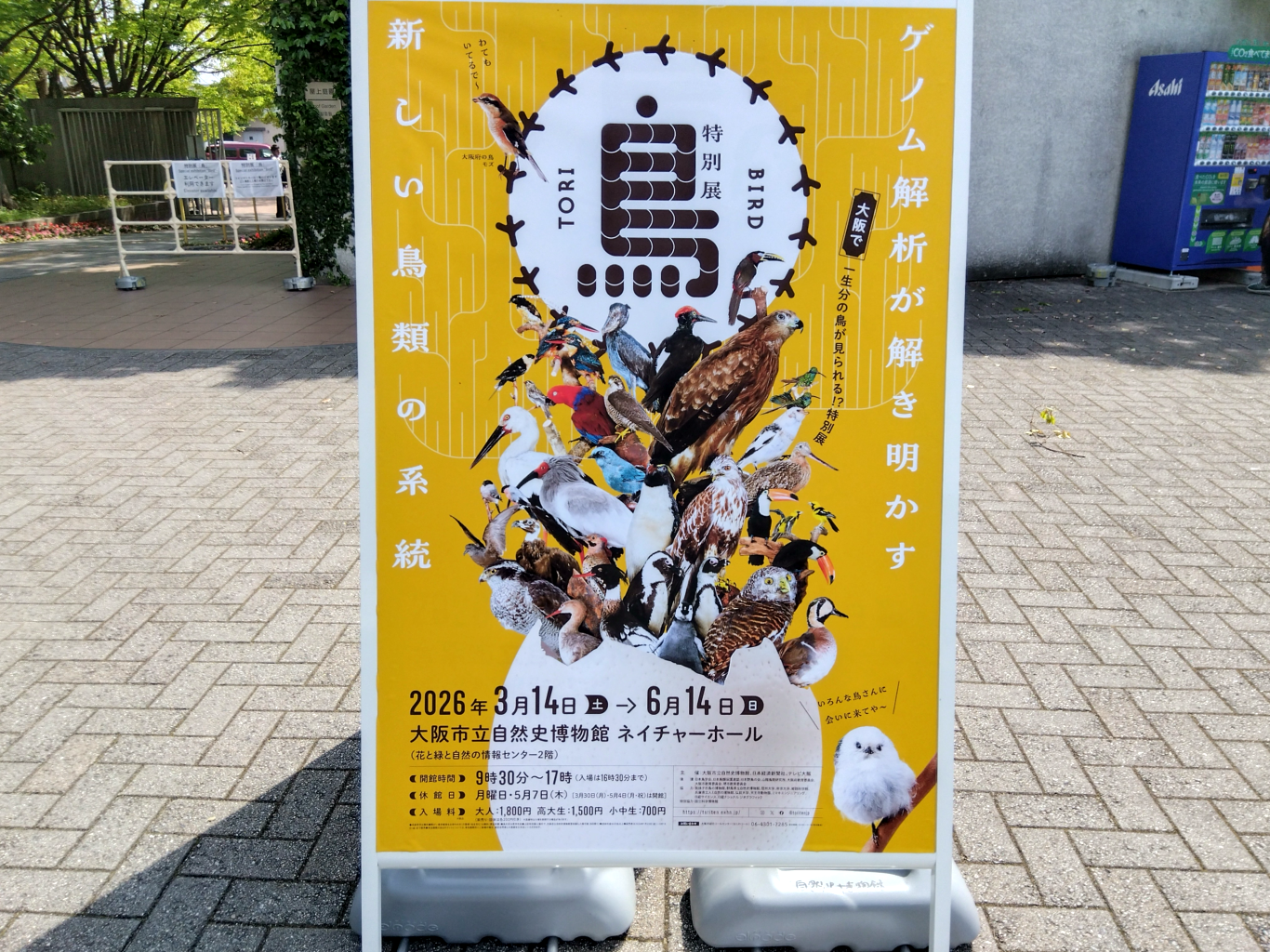 特別展「鳥」
