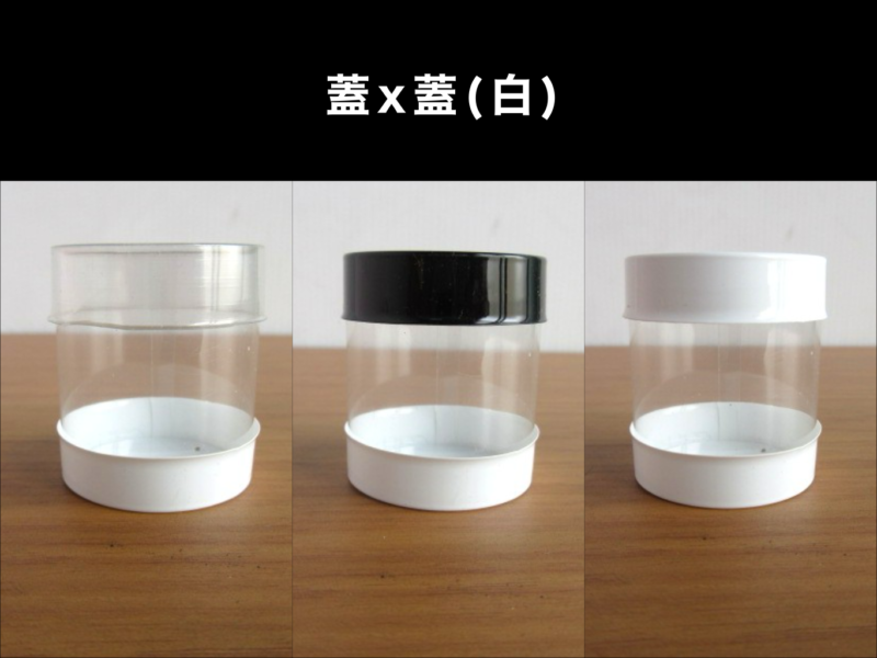 蓋ｘ蓋（白）